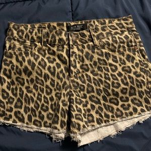 NWOT - Judy Blue Summer Nights Leopard Print Shorts - Medium